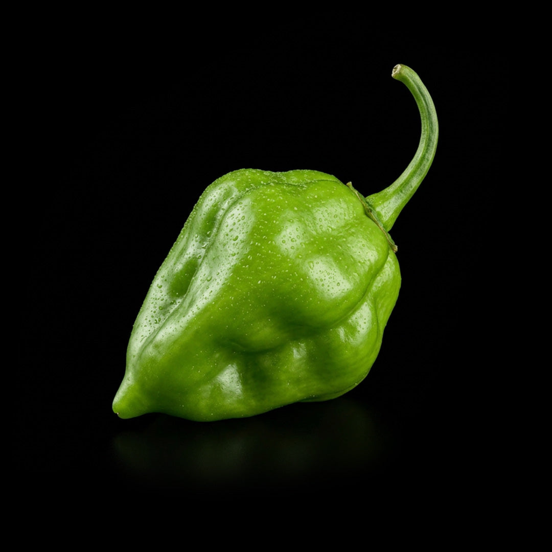 Tasmanian Habanero Seeds