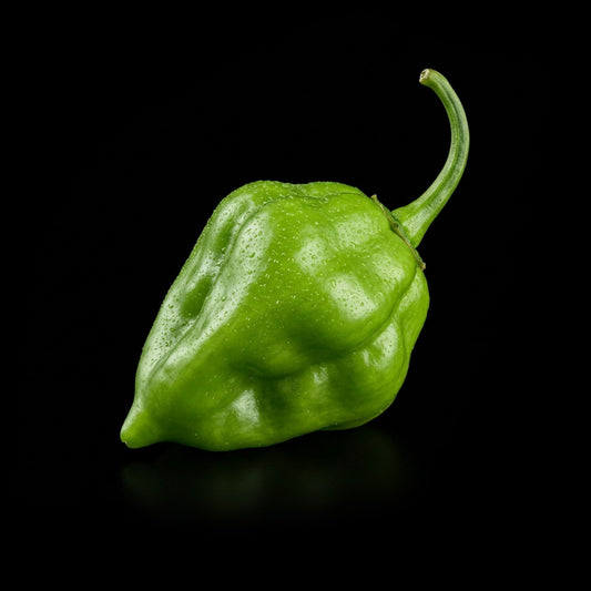 Tasmanian Habanero Seeds