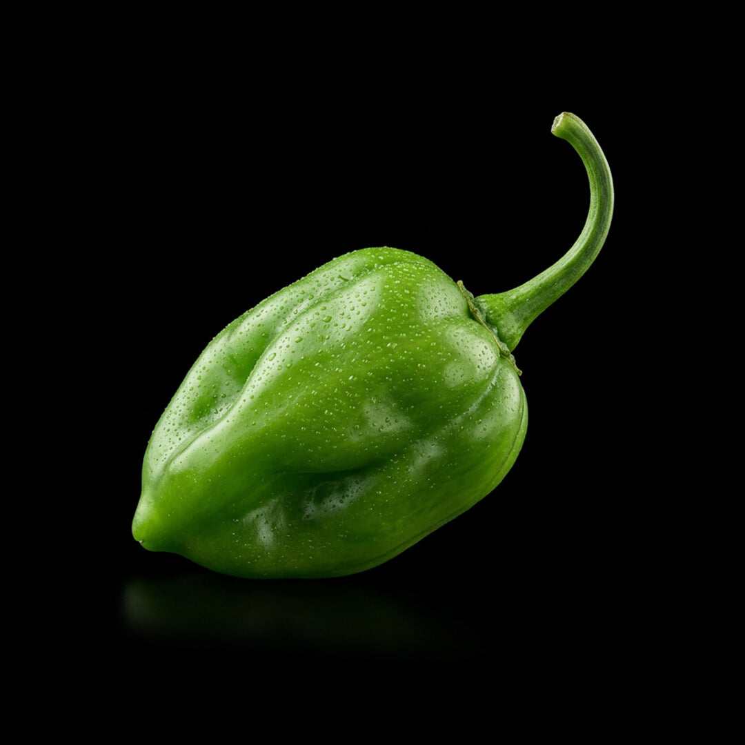 Habanero (White) Seeds