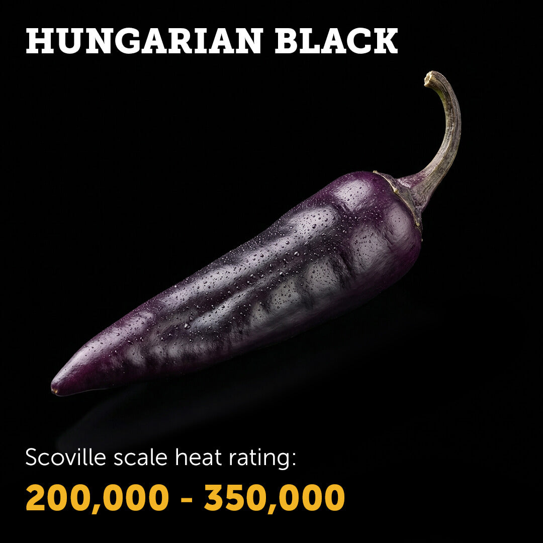 Hungarian Black Seeds