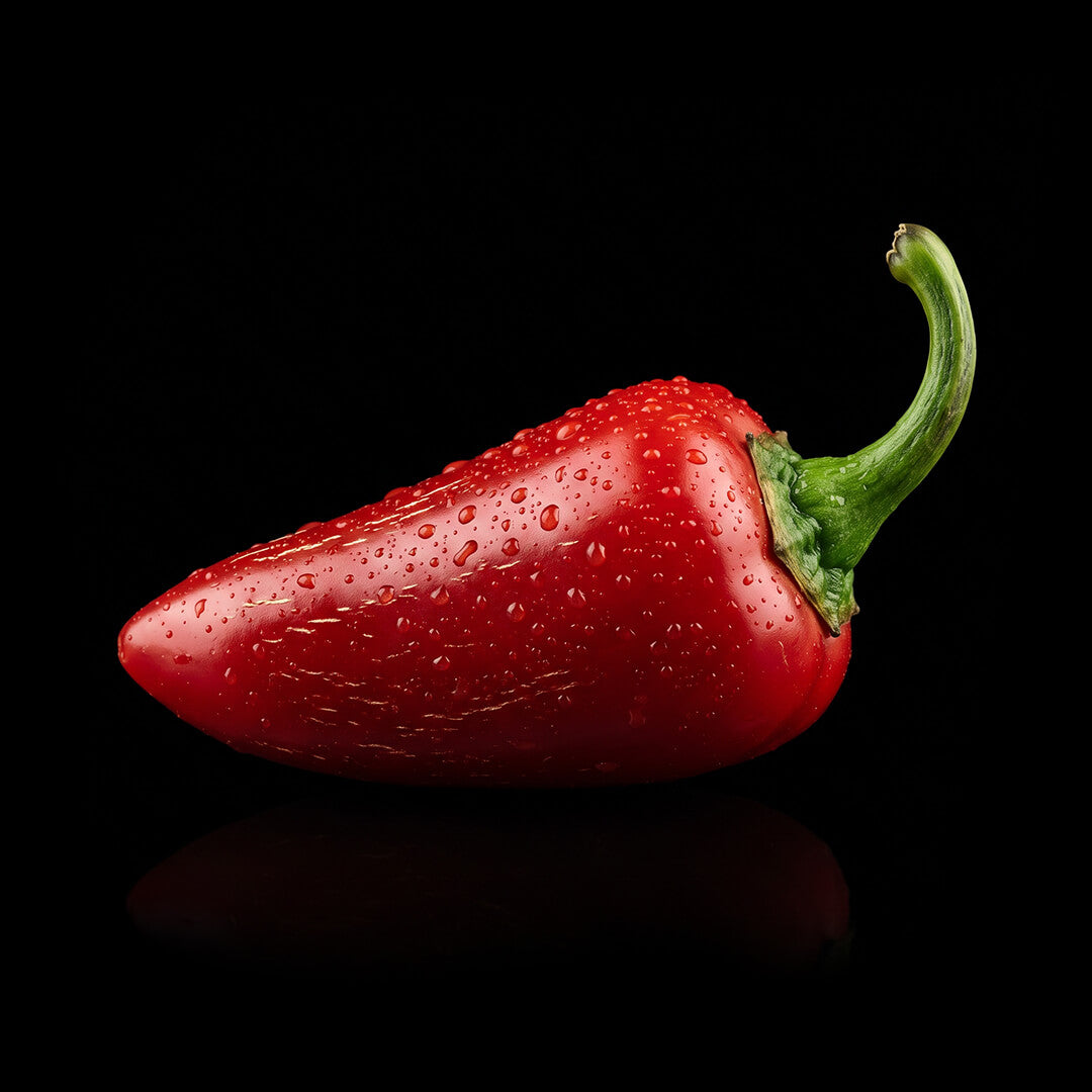 Ripe red Goliath Jalapeño chilli with glossy skin and water droplets on a black background