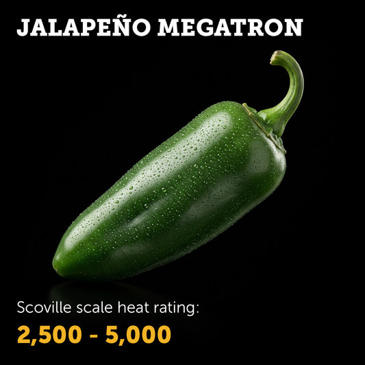 Ripe red Jalapeño Megatron chilli pepper