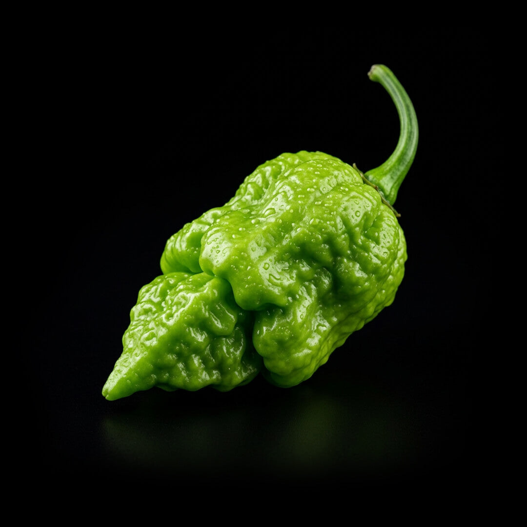 Jay’s Peach Ghost Scorpion Seeds