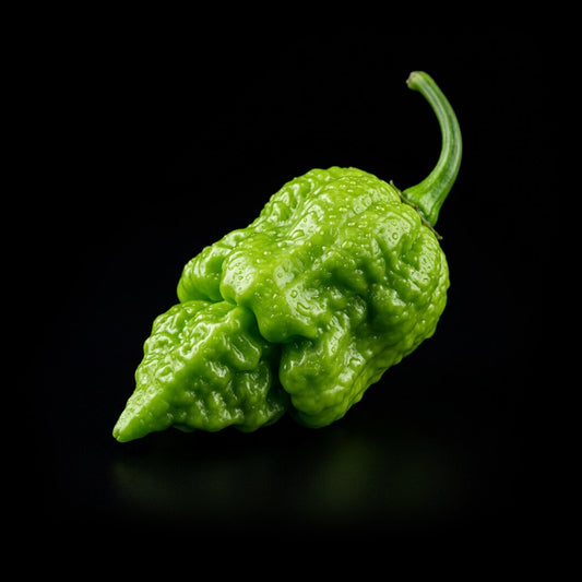 Jay’s Peach Ghost Scorpion Seeds