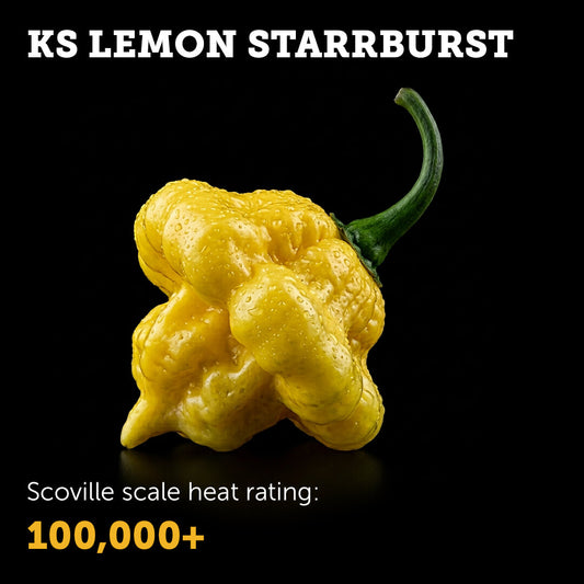 KS Lemon Starrburst Seeds