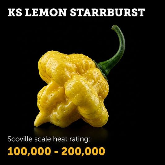 Ripe KS Lemon Starrburst chilli pepper