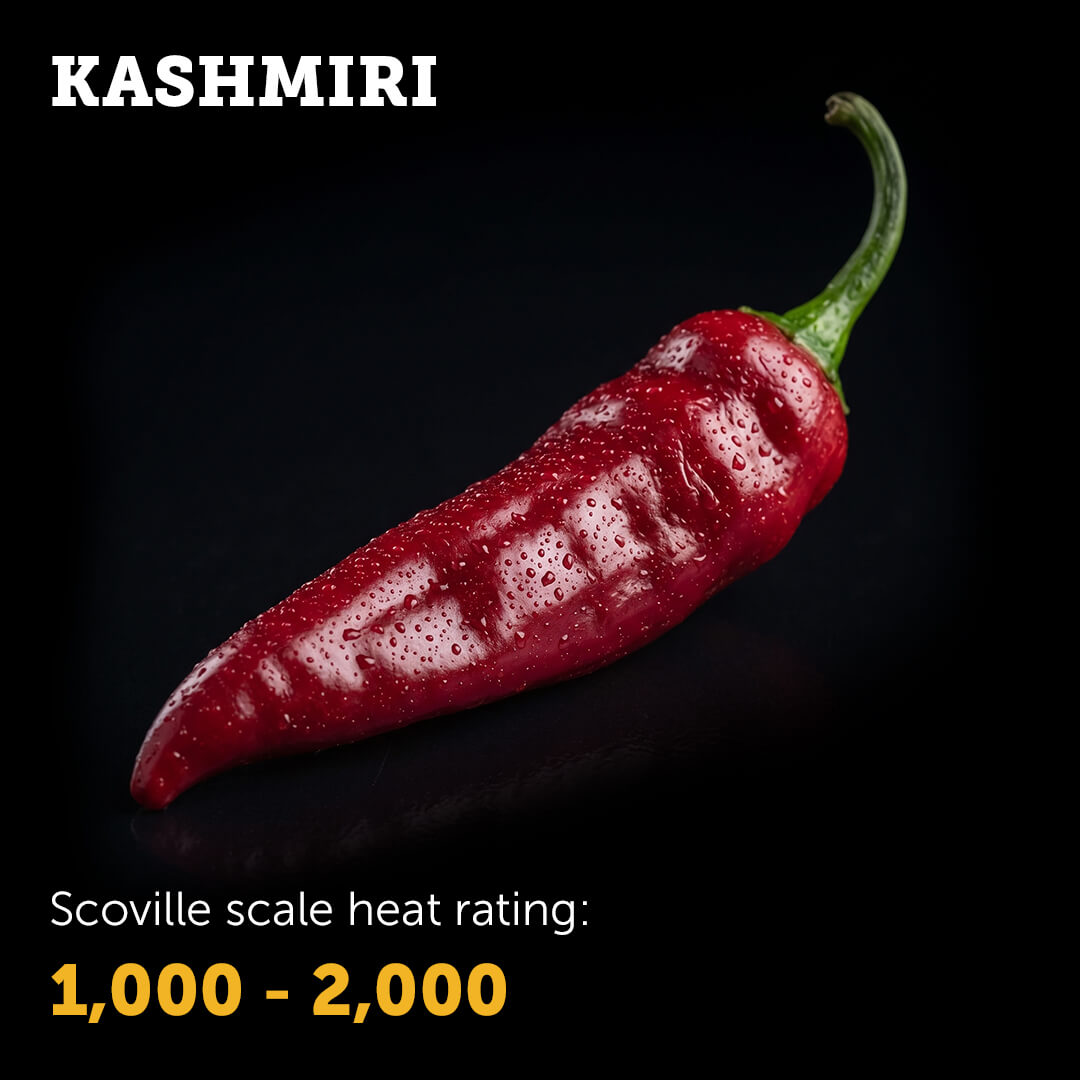 Ripe deep red Kashmiri chilli pepper