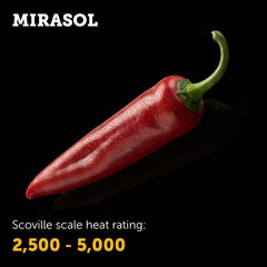 Mirasol (Guajillo) Seeds