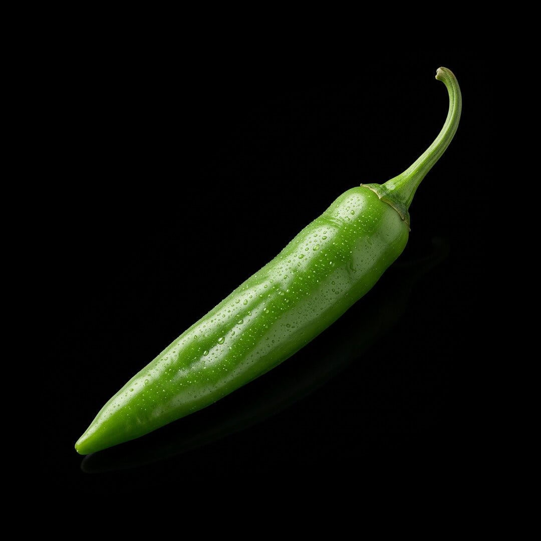 Mirasol (Guajillo) Seeds