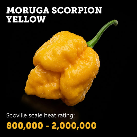 Ripe Yellow Moruga Scorpion chilli pepper