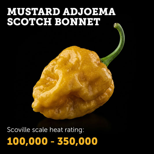 Mustard Adjoema Scotch Bonnet Seeds