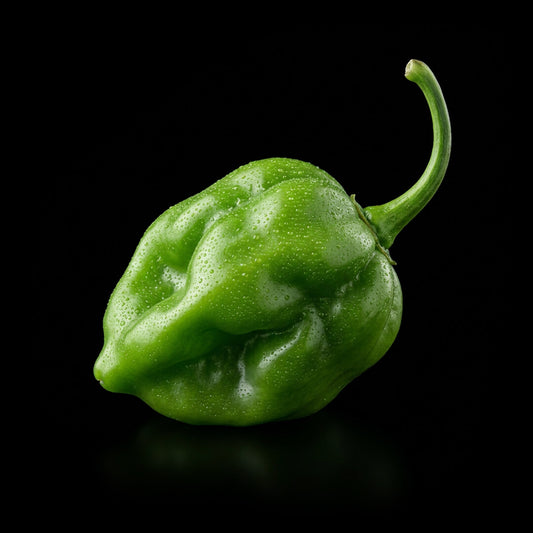 Mustard Adjoema Scotch Bonnet Seeds