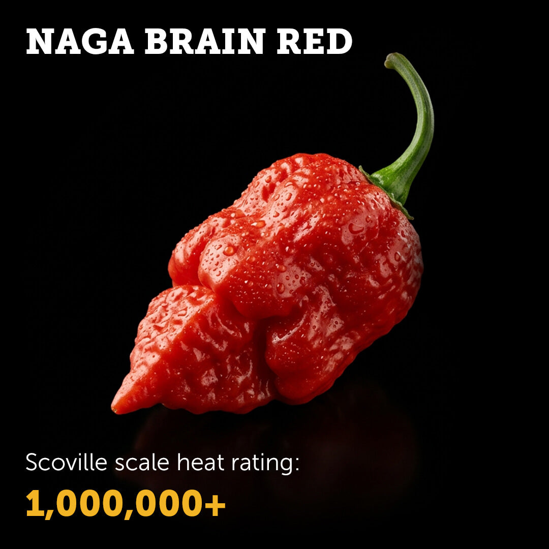 Naga Brain (Red) Seeds