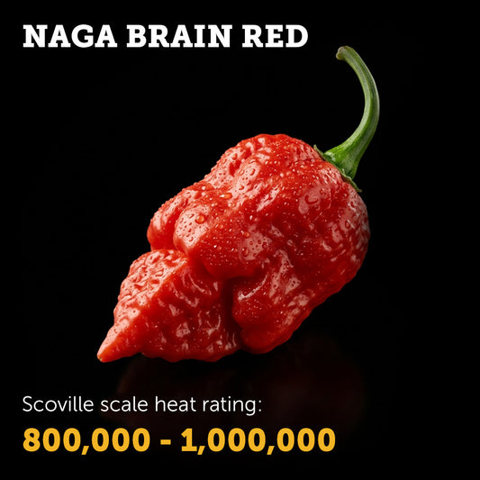 Ripe Red Naga Brain chilli pepper