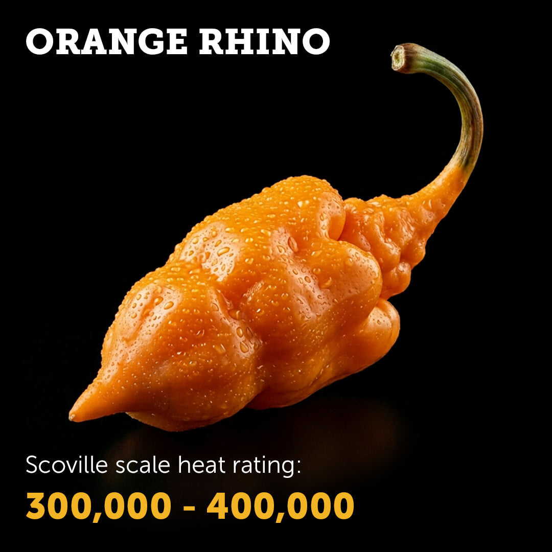 Orange Rhino Seeds