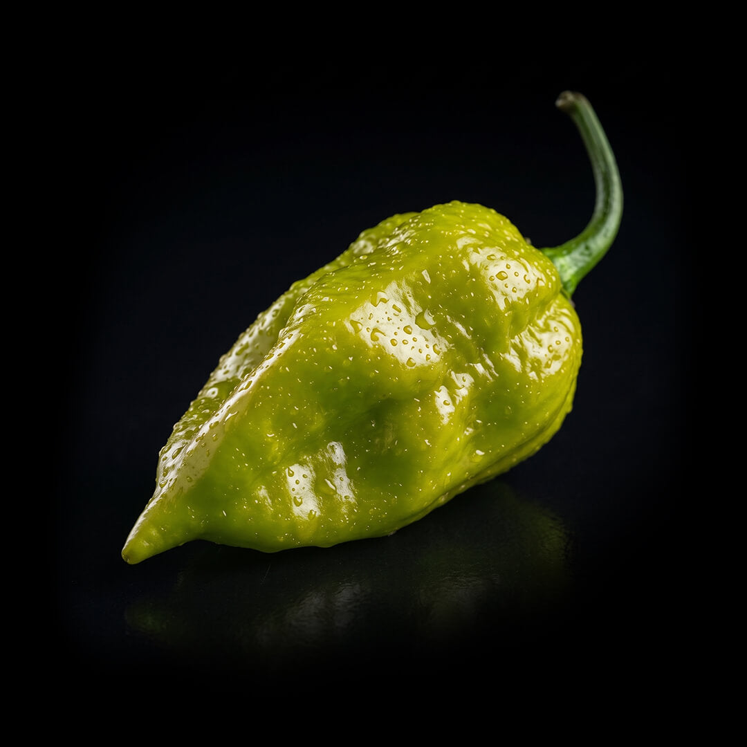 Unripe green Paper Lantern chilli pepper