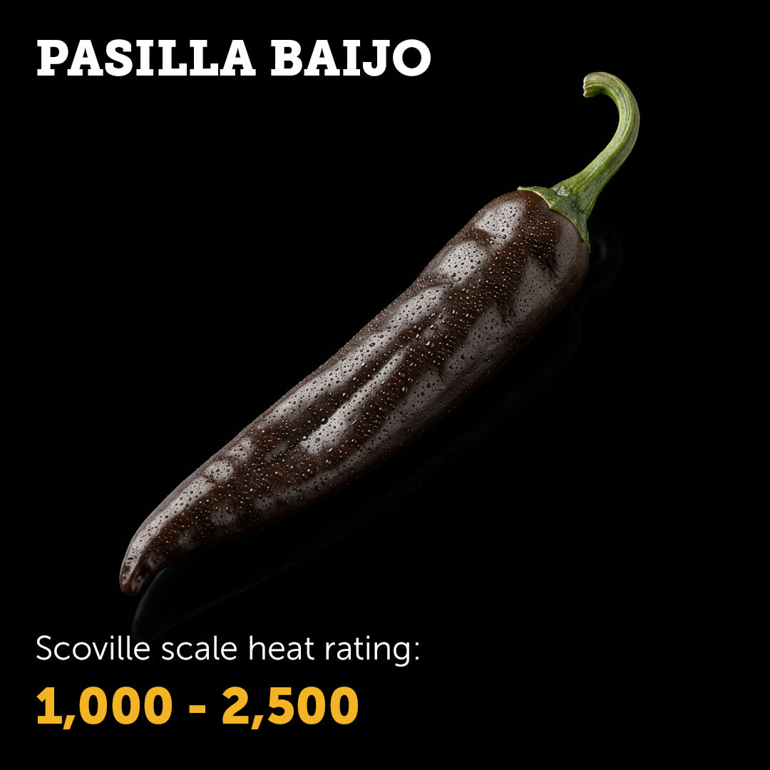 Ripe dark brown Pasilla Bajío chilli pepper