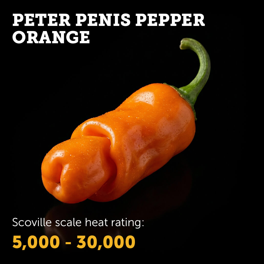 Ripe Orange Peter Pepper