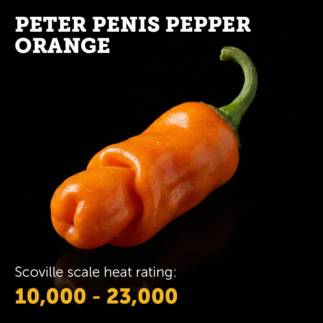 Peter Pepper (Orange) Seeds