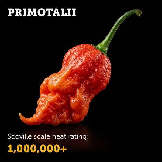 Primotalii Seeds