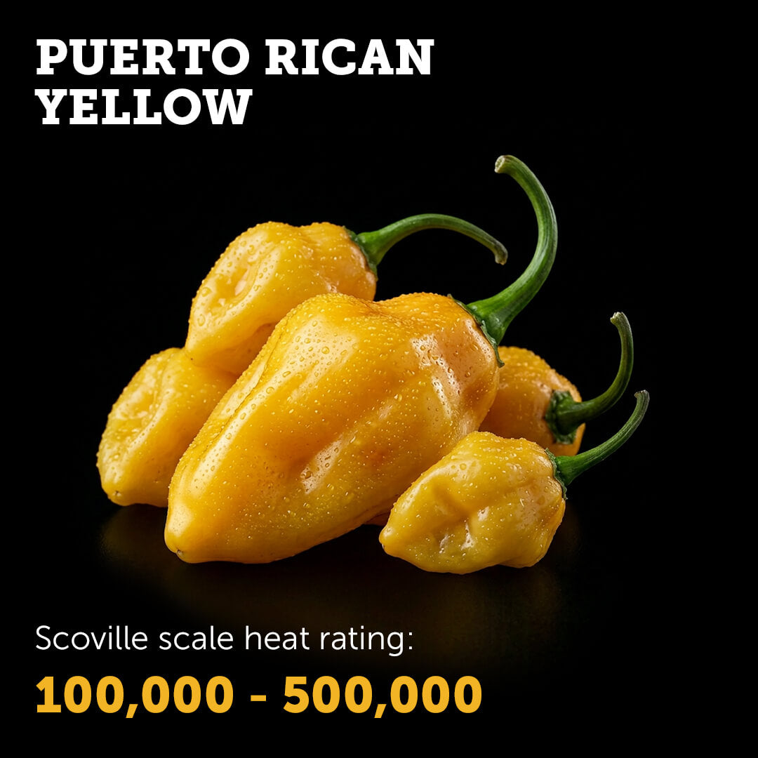 Puerto Rican (Yellow) Seeds