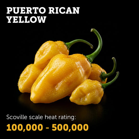 Puerto Rican (Yellow) Seeds