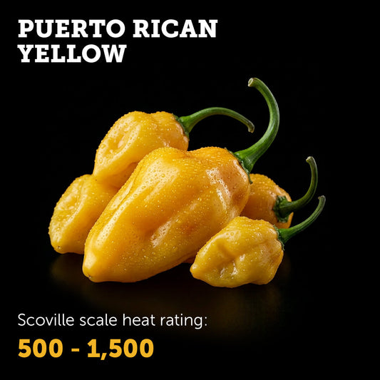 Ripe Yellow Puerto Rican chilli pepper