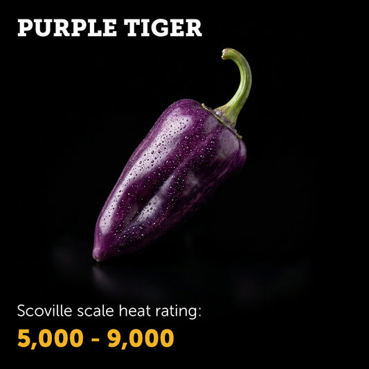 Purple Tiger Seeds