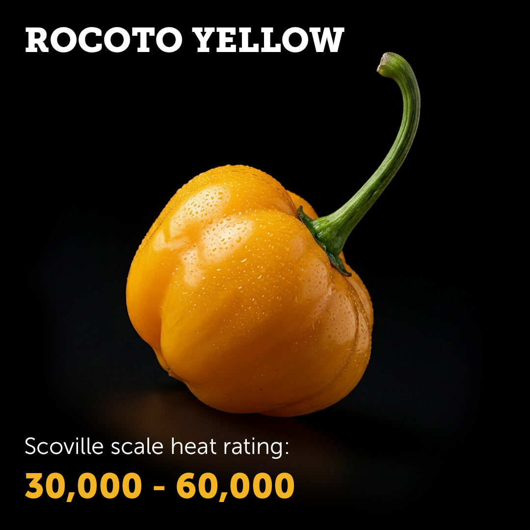 Yellow Rocoto Seeds | Ignition Seeds – Ignition Seed Company