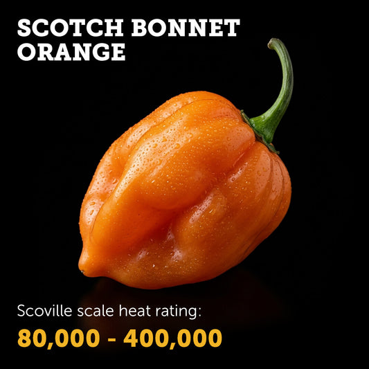 Scotch Bonnet (Orange) Seeds