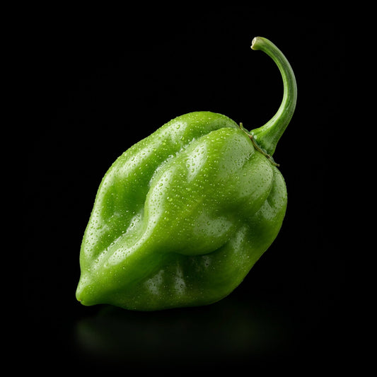 Scotch Bonnet (Orange) Seeds