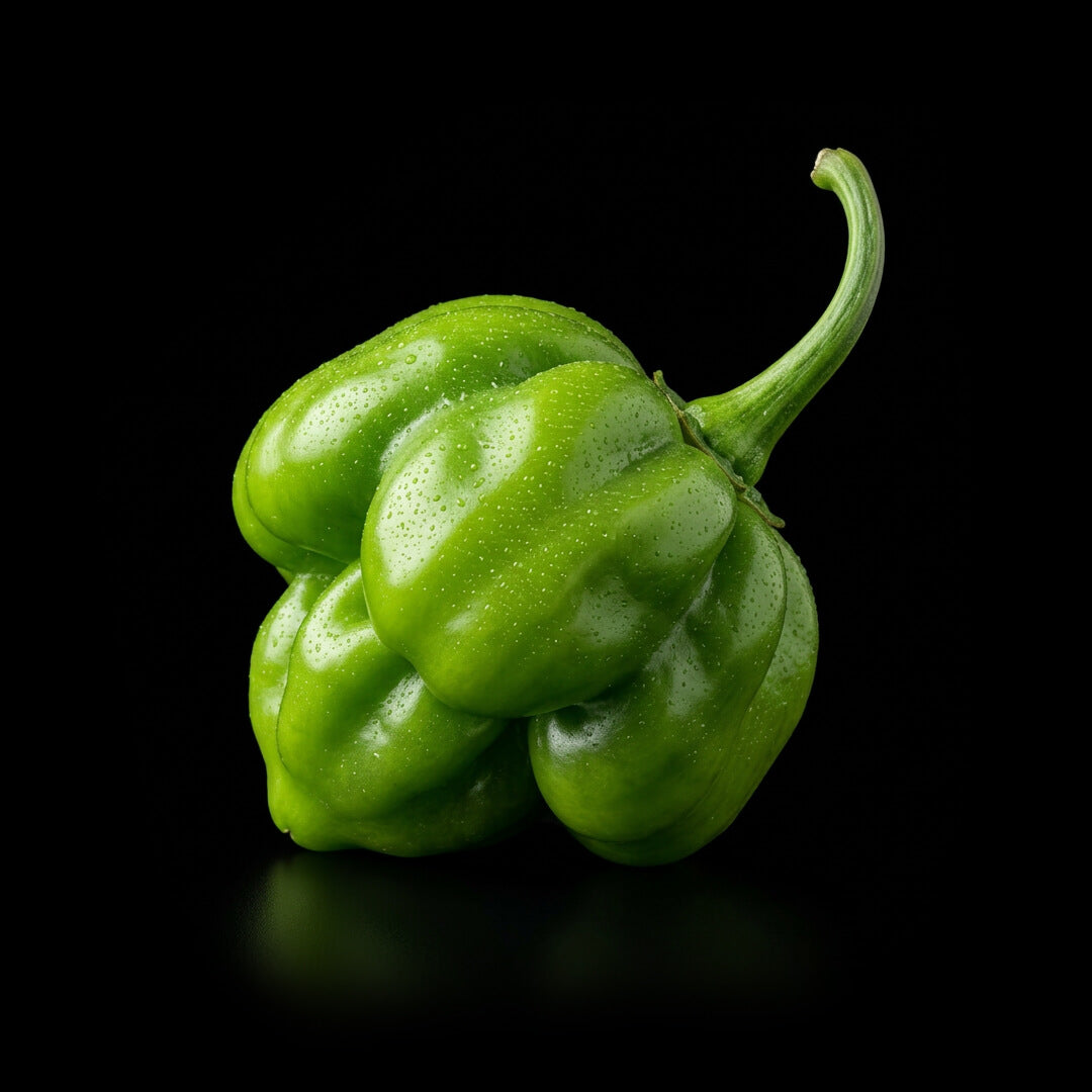 Scotch Bonnet (Yellow) Seeds