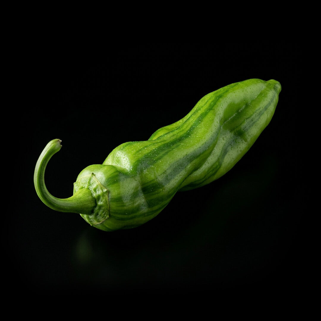 Sugar Rush Stripey Seeds