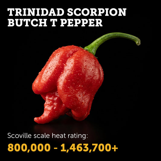 Ripe red Trinidad Scorpion Butch T Pepper