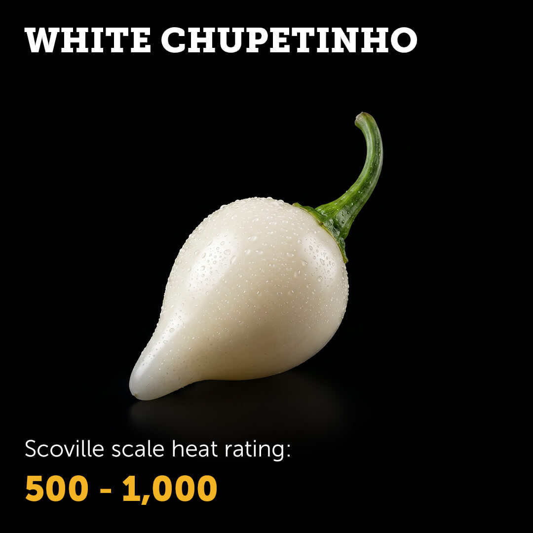 Ripe White Chupetinho chilli pepper