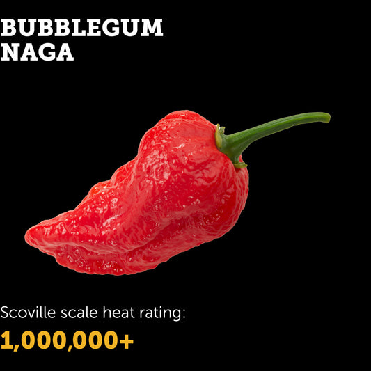 Bubblegum Naga Seeds