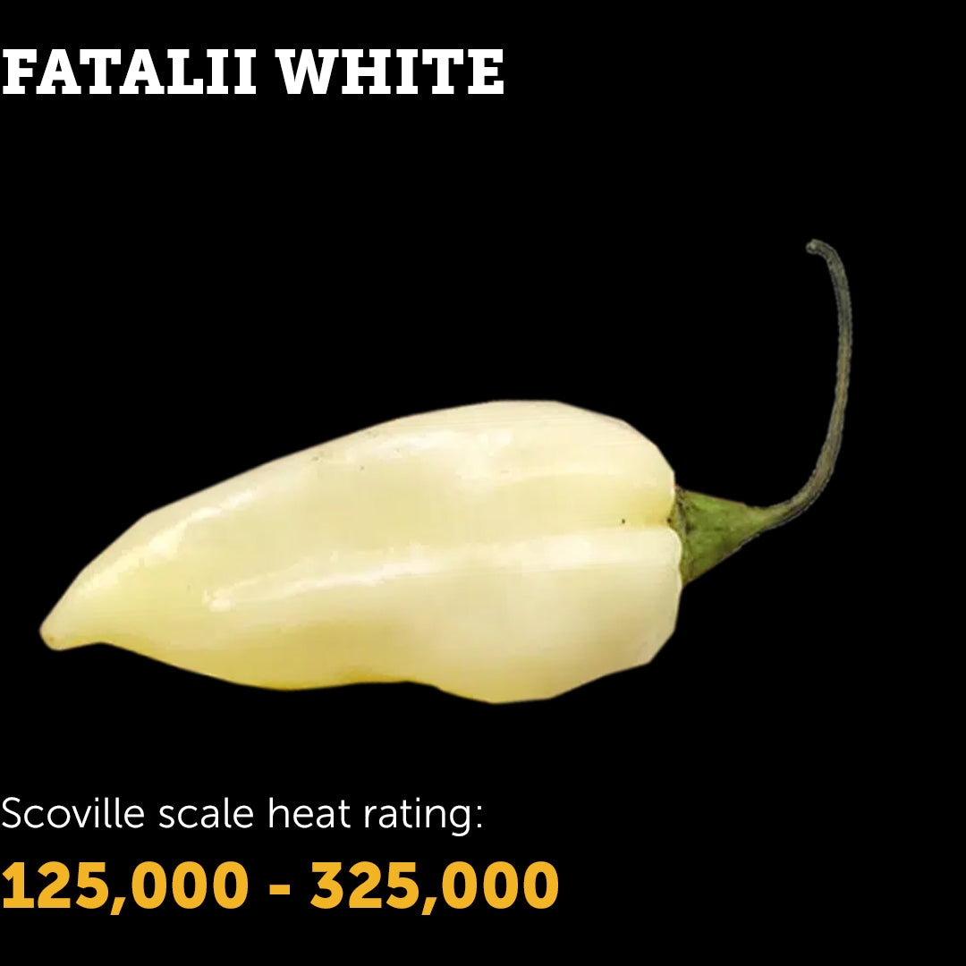 Chilli Seeds NZ Fatallii