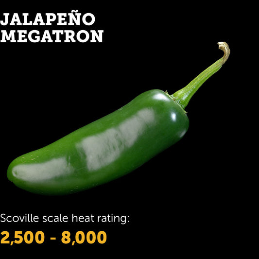 Jalapeño Megatron Seeds