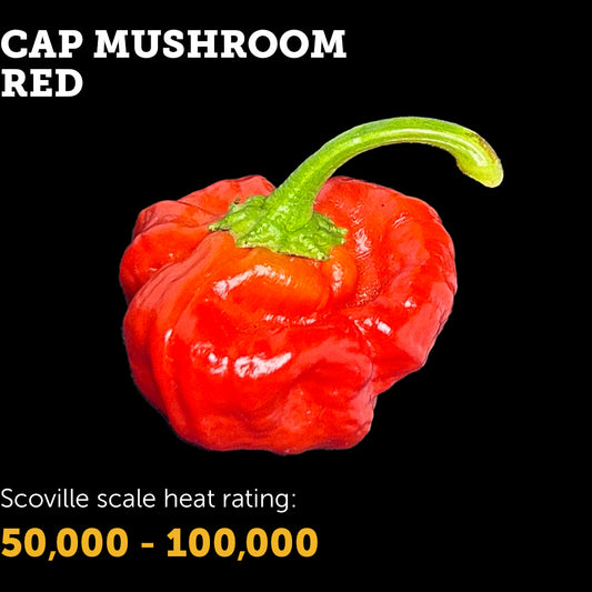 Cap Mushroom (Red) Seeds