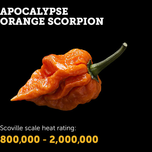 Apocalypse Orange Scorpion Seeds