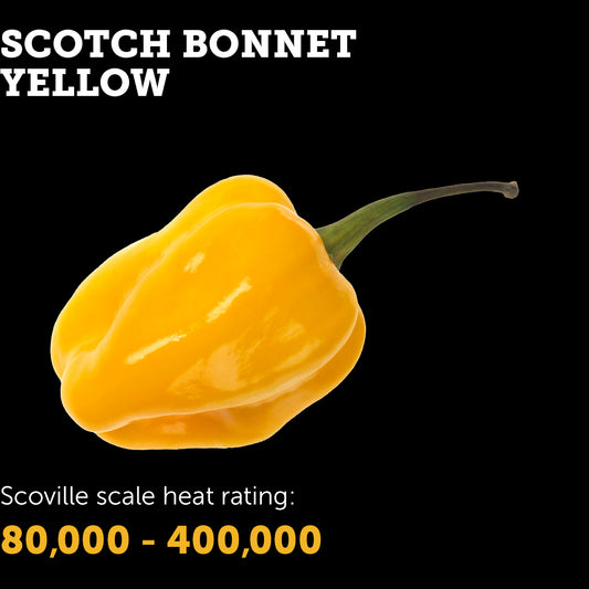 Scotch Bonnet (Yellow) Seeds