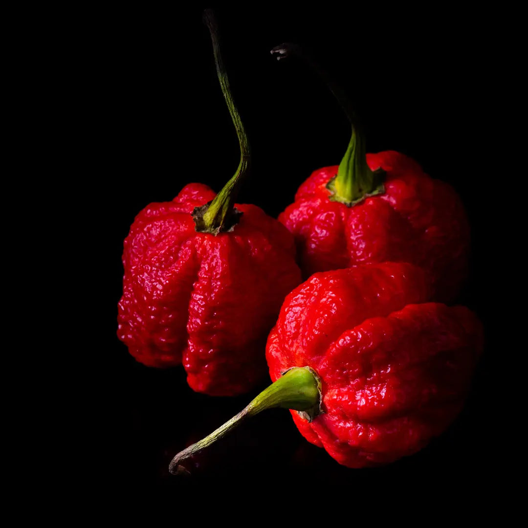 Chilli Seeds NZ Carolina Reaper Chillies
