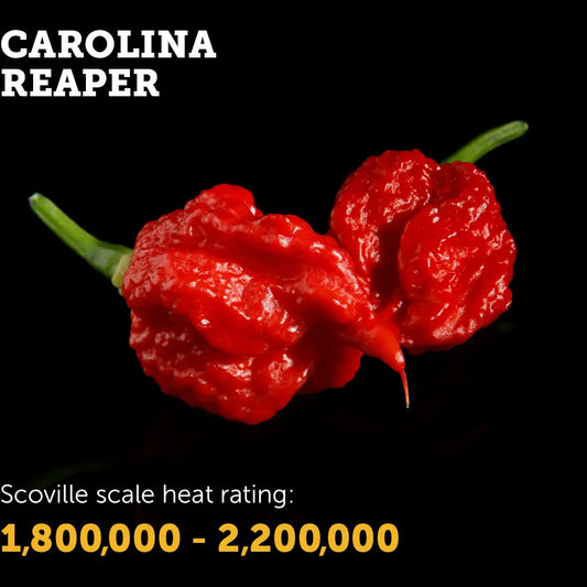 Chilli Seeds NZ Carolina Reaper Chillies