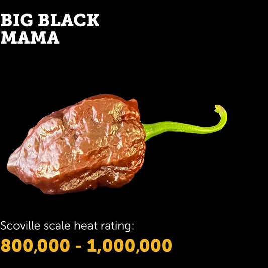 Chilli Seeds NZ Big Black Mama Chilli
