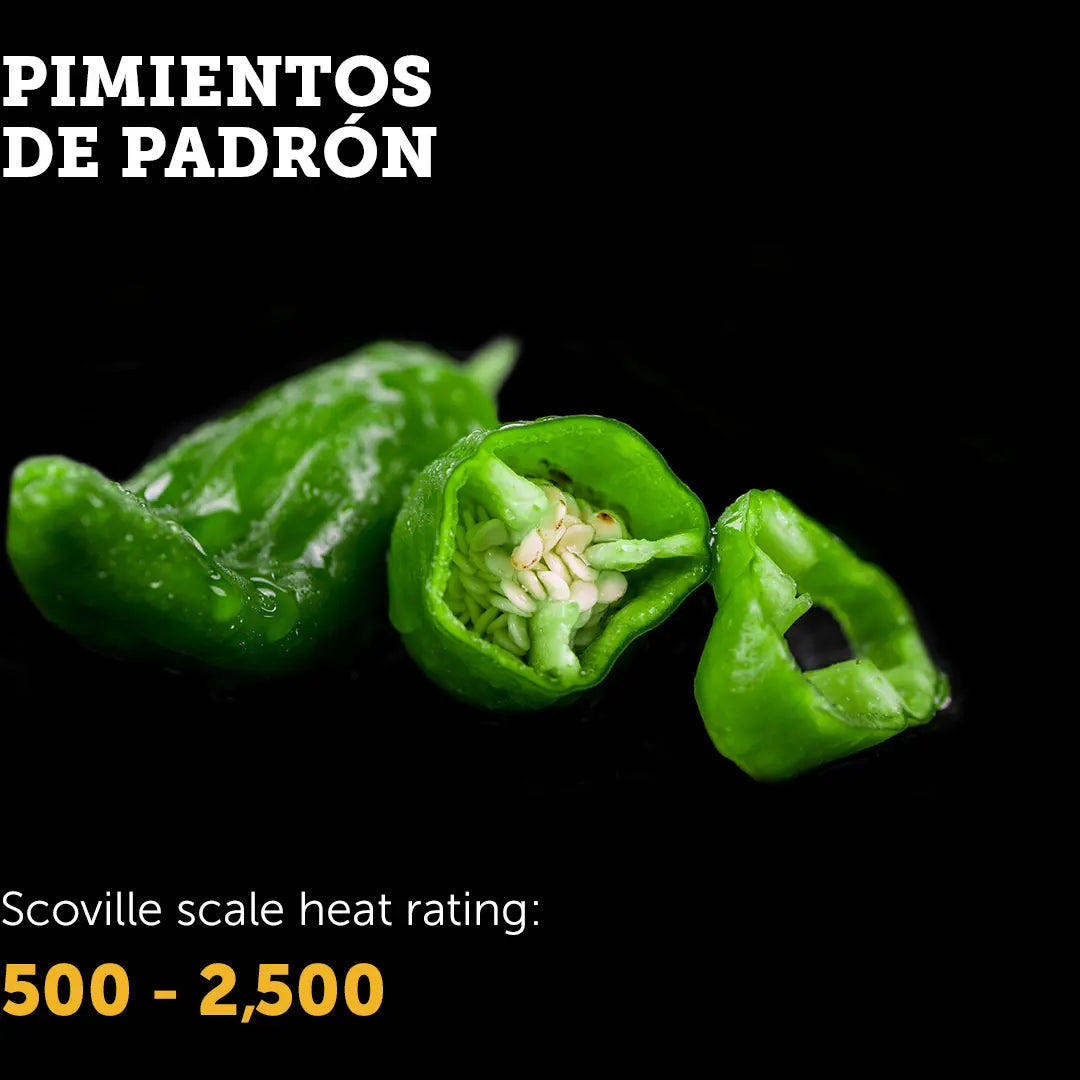 Chilli Seeds NZ Pimientos de Padrón Chilli Sliced