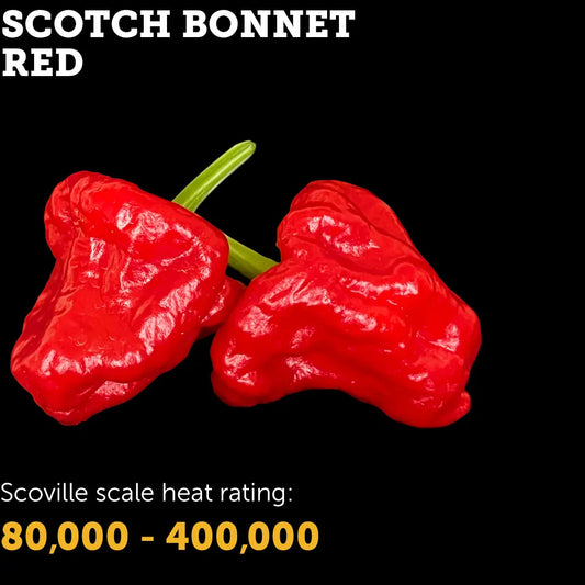 Chilli Seeds NZ Red Scotch Bonnet Chillies